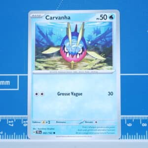 Carvanha (042/162)