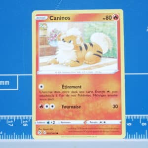 Caninos (032/264)