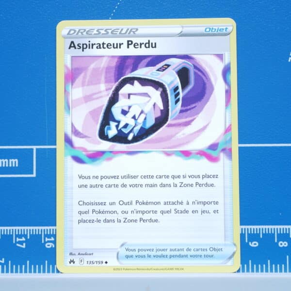 Aspirateur Perdu (135/159)