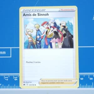 Amis de Sinnoh (131/159)