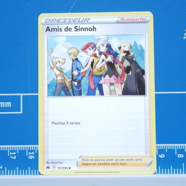 Amis de Sinnoh (131/159)