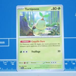 Tortipouss (010/162)
