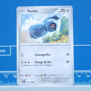 Terhal (113/162)