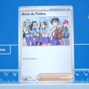 Amis de Paldea (109/131)
