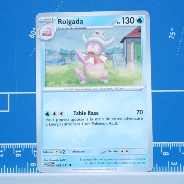 Roigada (019/131)