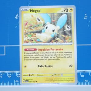 Négapi (061/182)