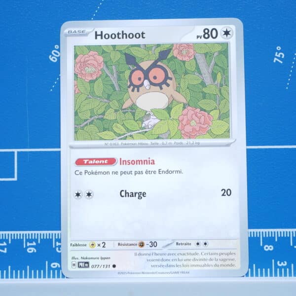 Hoothoot (077/131)