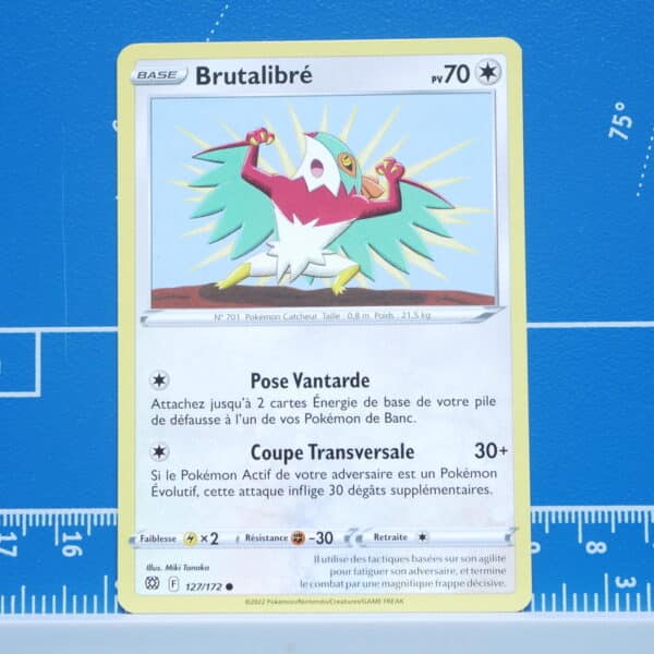 Brutalibré (127/172)