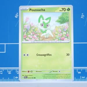 Poussacha (013/193)