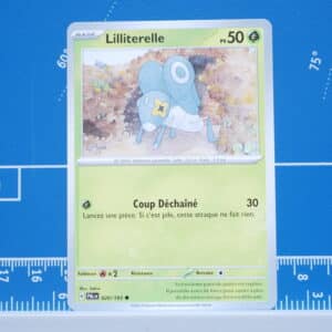 Lilliterelle (020/193)
