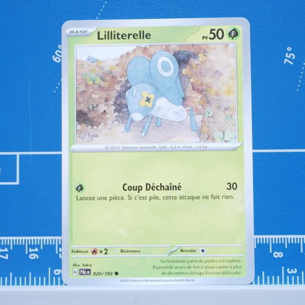 Lilliterelle (020/193)