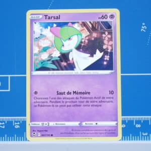 Tarsal (067/195)