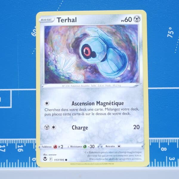 Terhal (117/195)