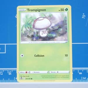 Trompignon (011/195)