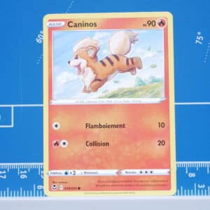 Caninos (019/195)